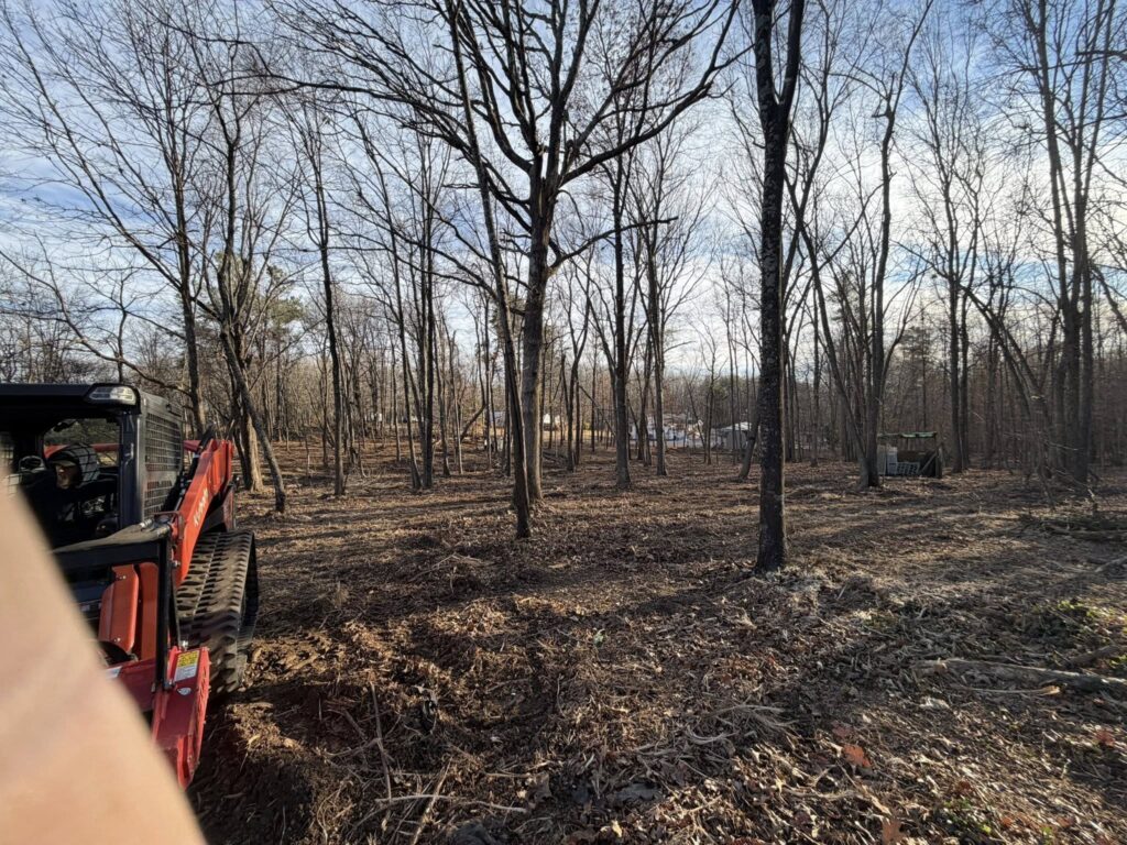 Property & Lot Maintenance